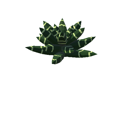 PP_Cactus_05