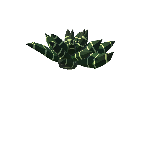 PP_Cactus_06