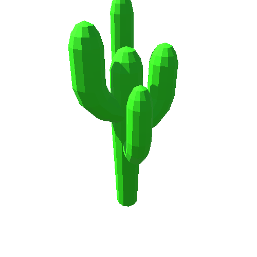 PP_Cactus_11