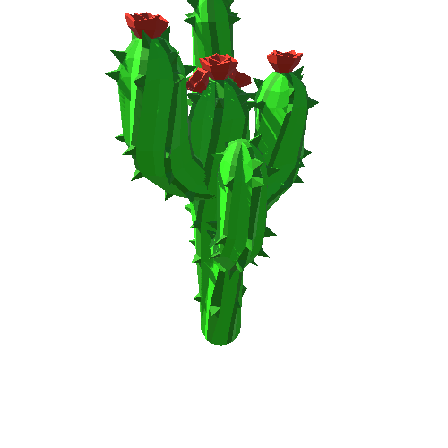 PP_Cactus_12