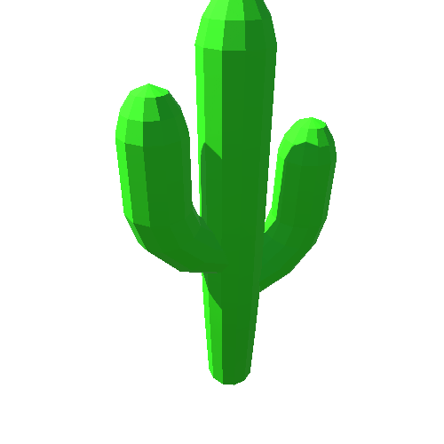 PP_Cactus_13