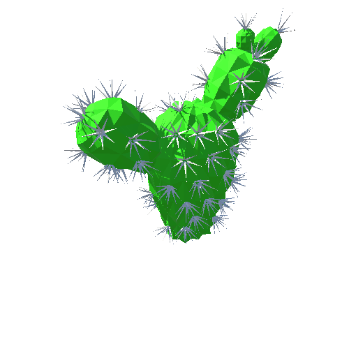 PP_Cactus_15