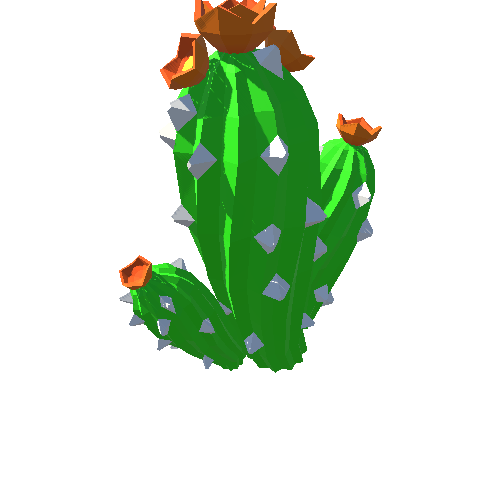 PP_Cactus_16