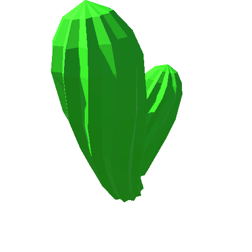 PP_Cactus_19