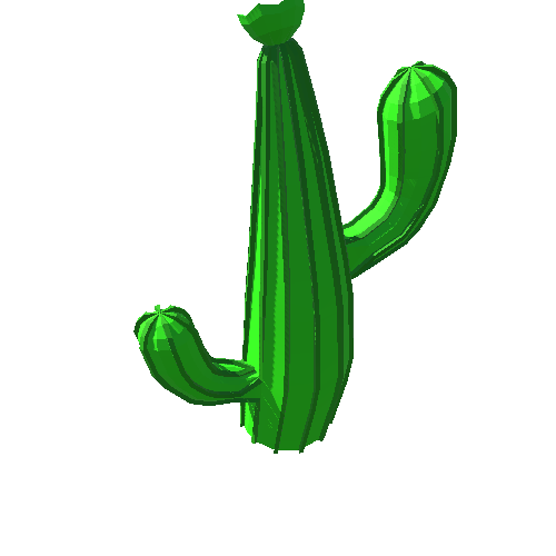 PP_Cactus_22