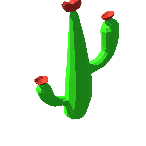 PP_Cactus_23