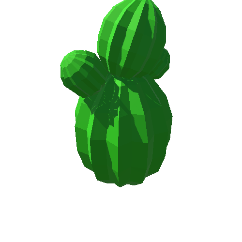 PP_Cactus_37