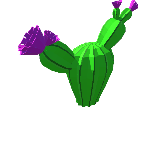 PP_Cactus_41