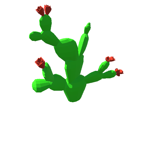 PP_Cactus_42