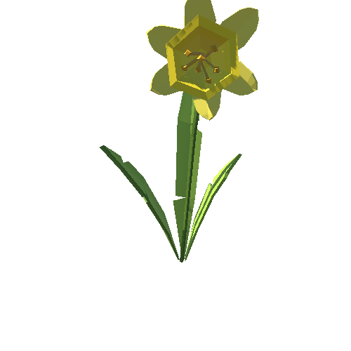 PP_Daffodil_01