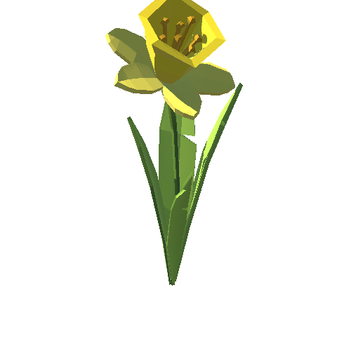 PP_Daffodil_02