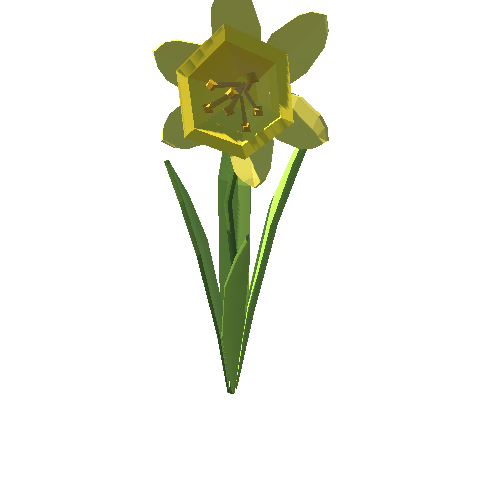 PP_Daffodil_03
