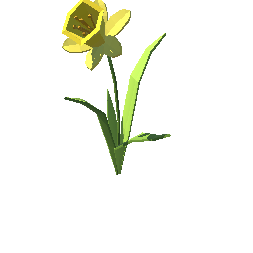 PP_Daffodil_04