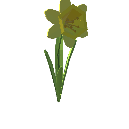 PP_Daffodil_05