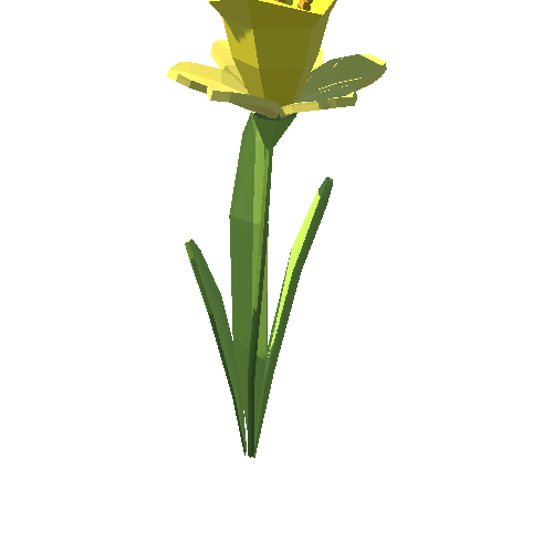 PP_Daffodil_06