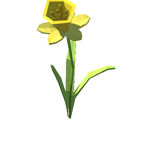 PP_Daffodil_07