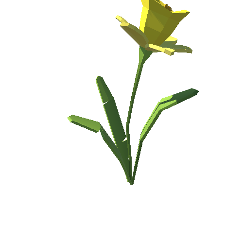 PP_Daffodil_08