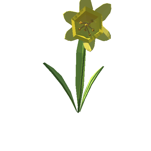 PP_Daffodil_09