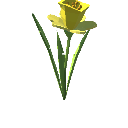PP_Daffodil_10