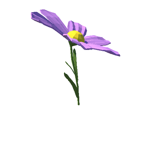 PP_Daisy_Flower_Purple_05