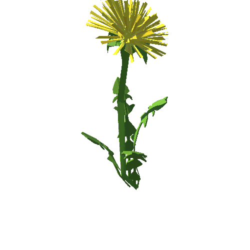 PP_Dandelion_02