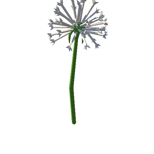 PP_Dandelion_Seed_Head_01