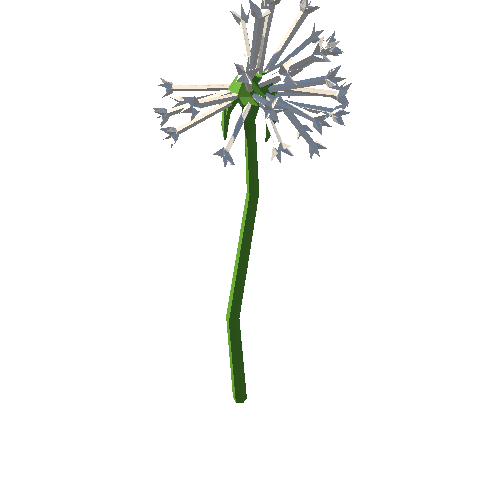 PP_Dandelion_Seed_Head_05