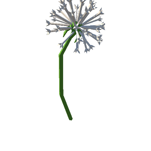 PP_Dandelion_Seed_Head_06