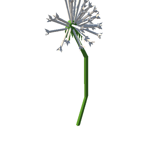 PP_Dandelion_Seed_Head_07