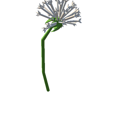 PP_Dandelion_Seed_Head_08