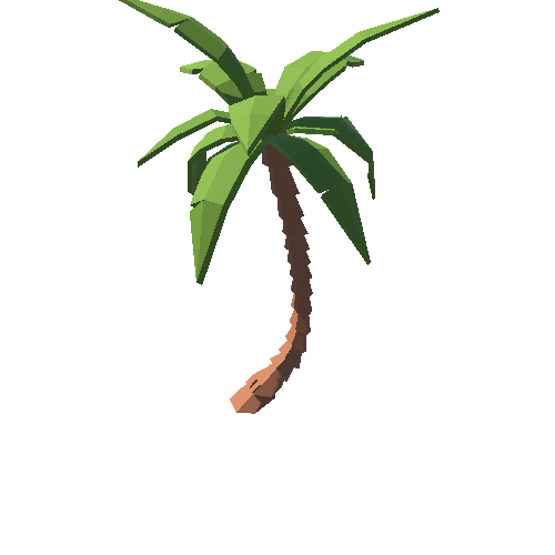 PP_Desert_Palm_Tree_07