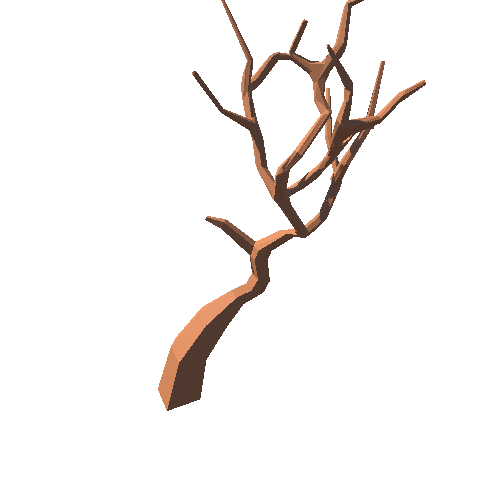 PP_Desert_Tree_Leafless_08