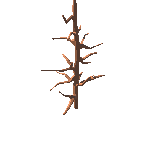 PP_Desert_Tree_Leafless_12