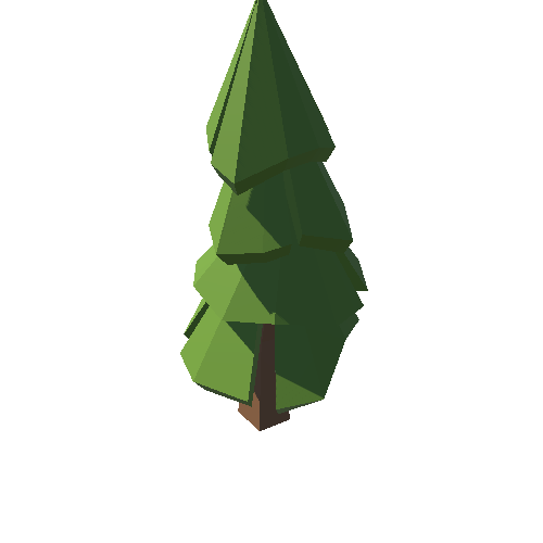 PP_Fir_Tree_16