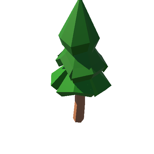 PP_Fir_Tree_Long_04