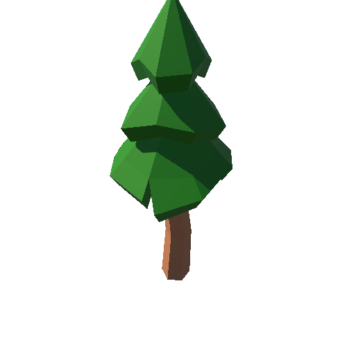 PP_Fir_Tree_Long_07