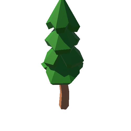 PP_Fir_Tree_Long_08