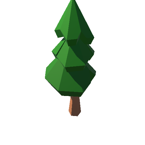 PP_Fir_Tree_Long_10