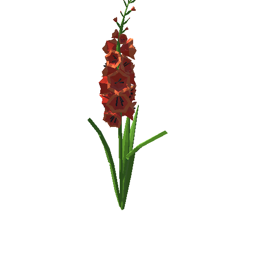 PP_Gladiolus_Red_01