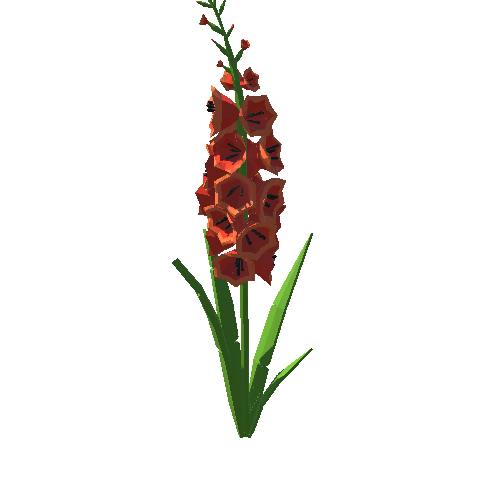 PP_Gladiolus_Red_03