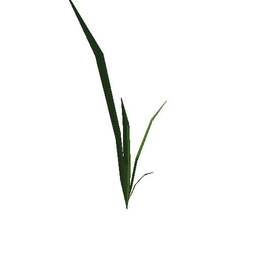 PP_Grass_26