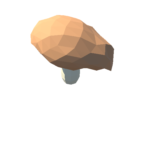 PP_Mushroom_02