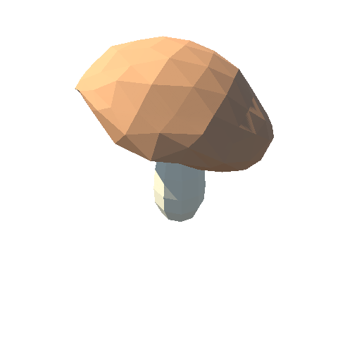 PP_Mushroom_03