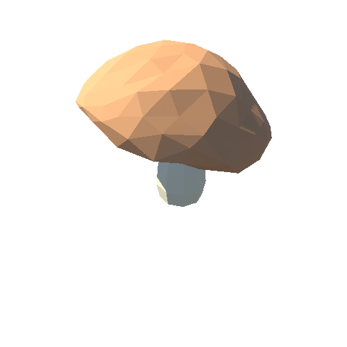 PP_Mushroom_10