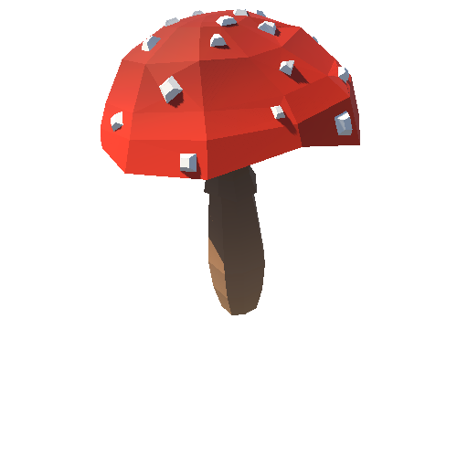 PP_Mushroom_Fly_Agaric_05