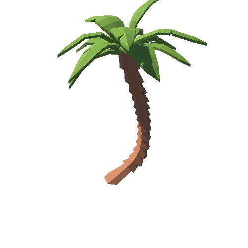 PP_Palm_02