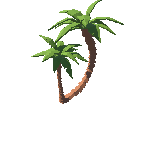 PP_Palm_03