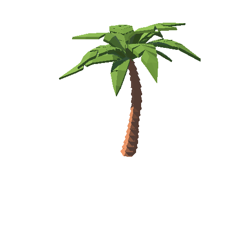 PP_Palm_04