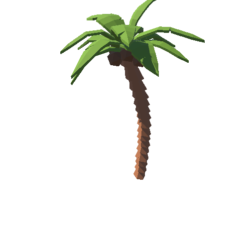 PP_Palm_06