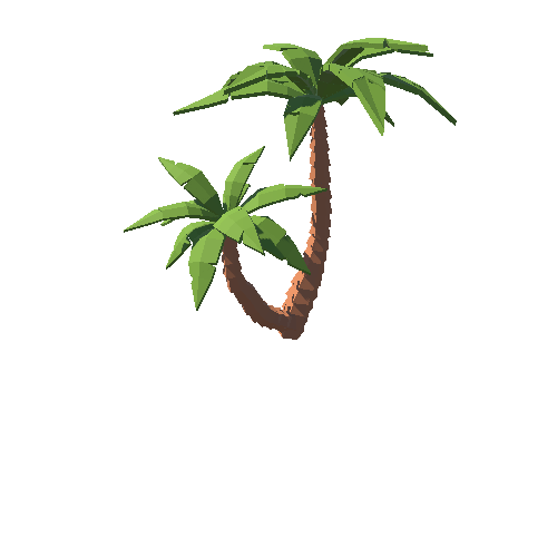 PP_Palm_07